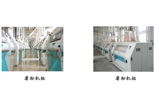 環(huán)境展示